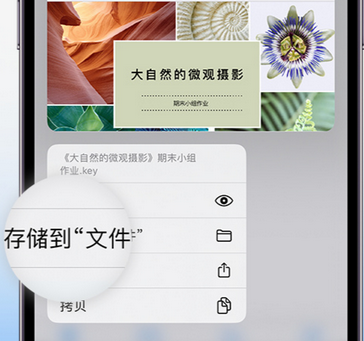 新兴镇apple维修中心分享iPhone文件应用中存储和找到下载文件