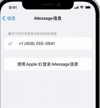 新兴镇apple维修iPhone上无法正常发送iMessage信息 