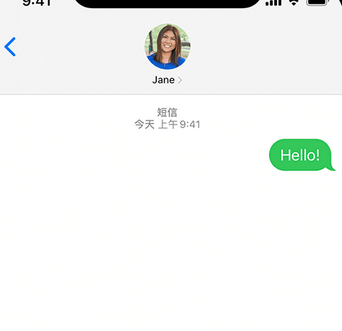 新兴镇apple维修iPhone上无法正常发送iMessage信息