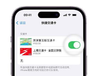 新兴镇apple维修点分享iPhone上更换Apple Pay快捷交通卡手绘卡面 