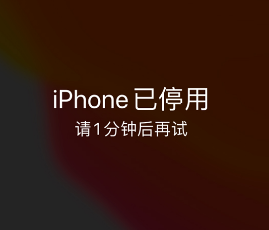 新兴镇苹果手机维修分享:iPhone 显示“不可用”或“已停用”怎么办？还能保留数据吗？ 