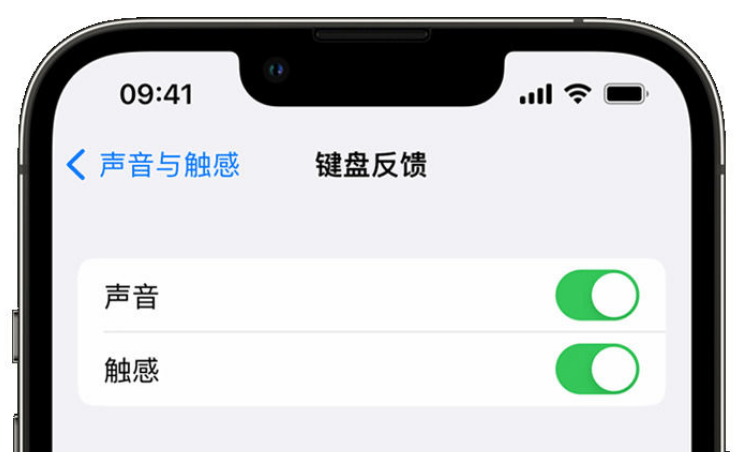 新兴镇苹果手机维修分享iPhone 14触感键盘使用方法 