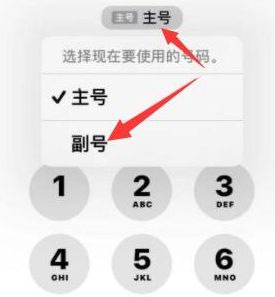 新兴镇苹果14维修店分享iPhone 14 Pro Max使用副卡打电话的方法 