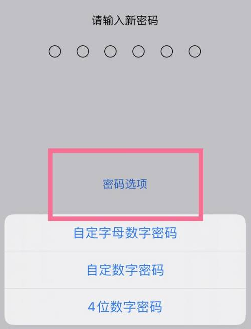 新兴镇苹果14维修分享iPhone 14plus设置密码的方法 