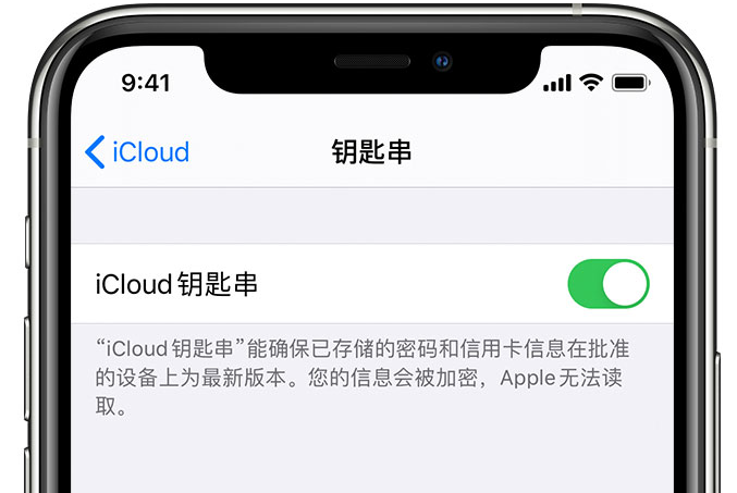 新兴镇苹果手机维修分享在 iPhone 上开启 iCloud 钥匙串之后会储存哪些信息 