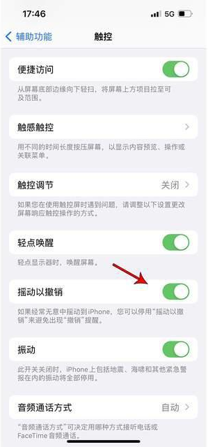 新兴镇苹果手机维修分享iPhone手机如何设置摇一摇删除文字 