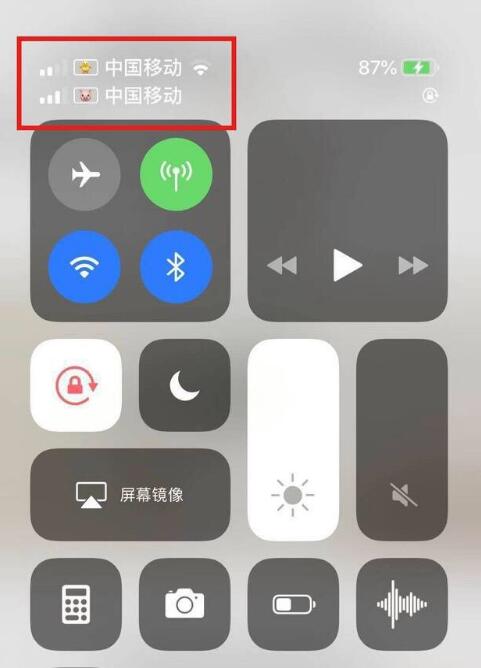 新兴镇苹果手机维修分享为 iPhone 12 双卡设置标签 