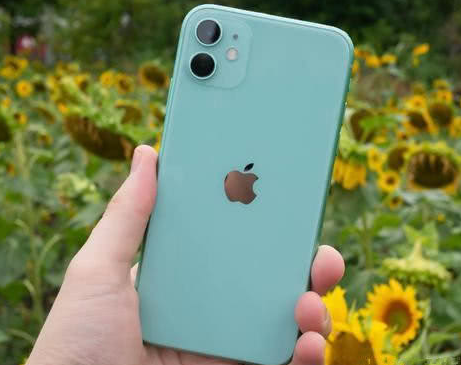 新兴镇苹果维修点分享iPhone 11锁屏密码认知与使用科普 