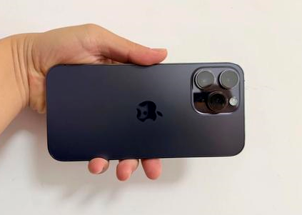 新兴镇苹果维修点分享iPhone 14 Pro Max黑屏少见故障盘点 