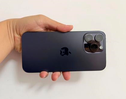 新兴镇苹果维修点分享iPhone 14 Pro Max发烫多重诱因剖析 